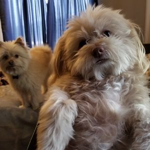 Meet your Posher, Jeffrey